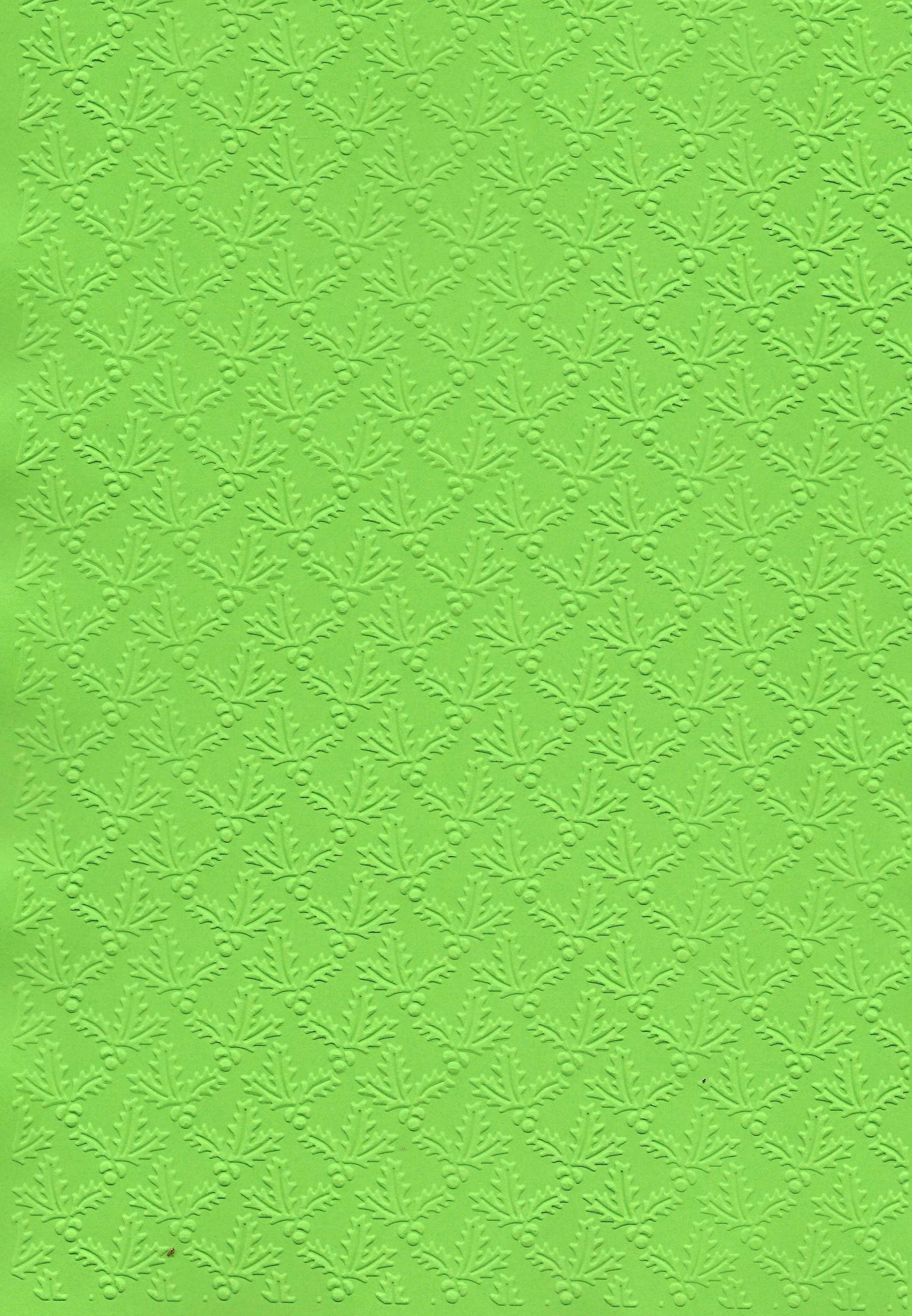 Embossed Card. A4. Leaves.