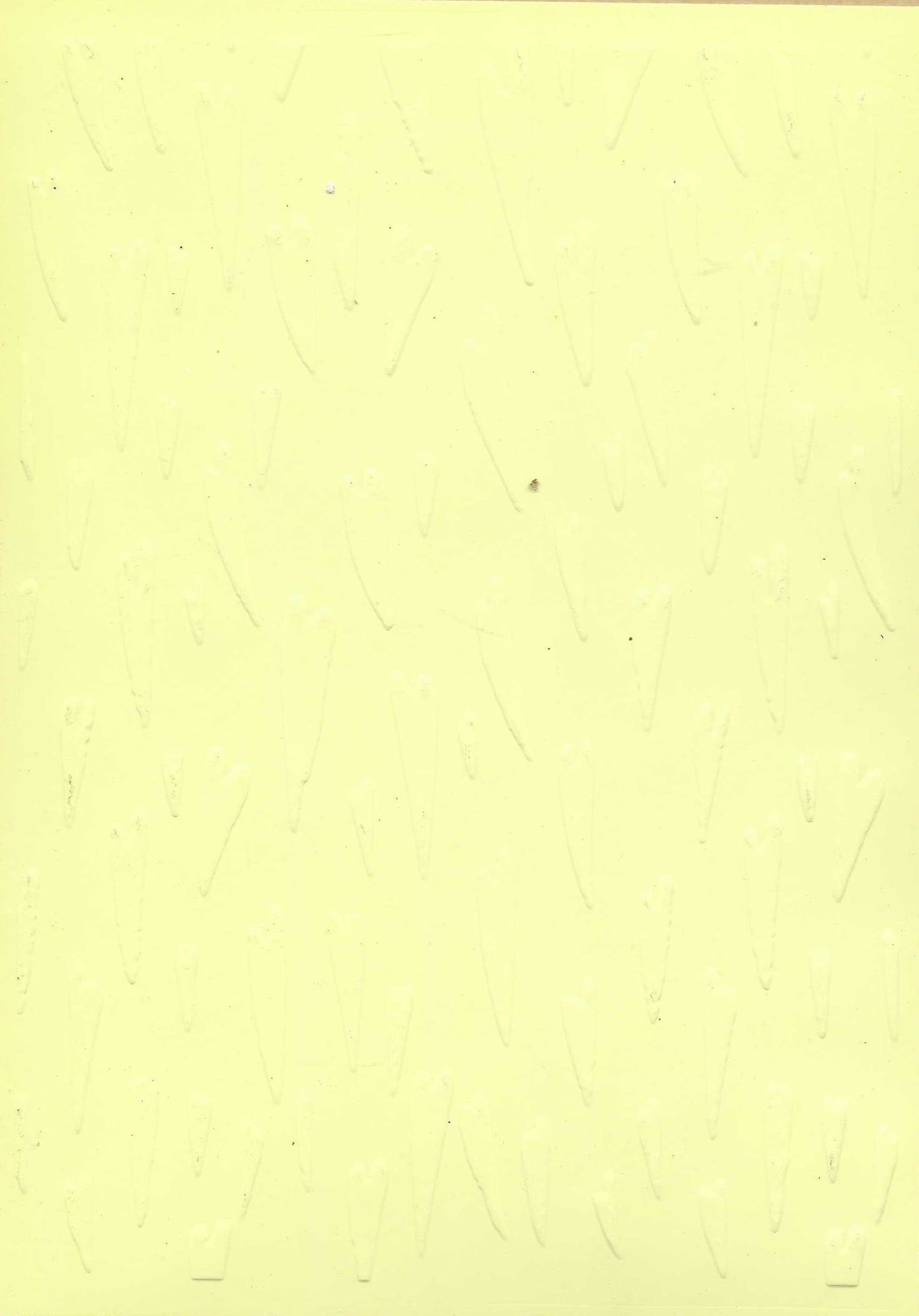 Embossed Card. 5"x7". Hearts.
