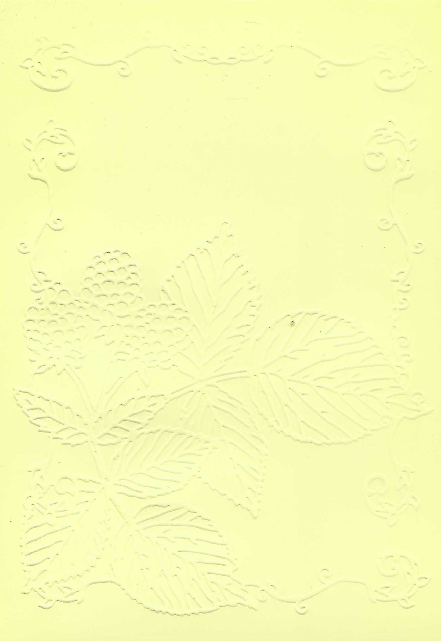 Embossed Card. 5"x7". Leaves. 10 Sheets In Assorted Colours