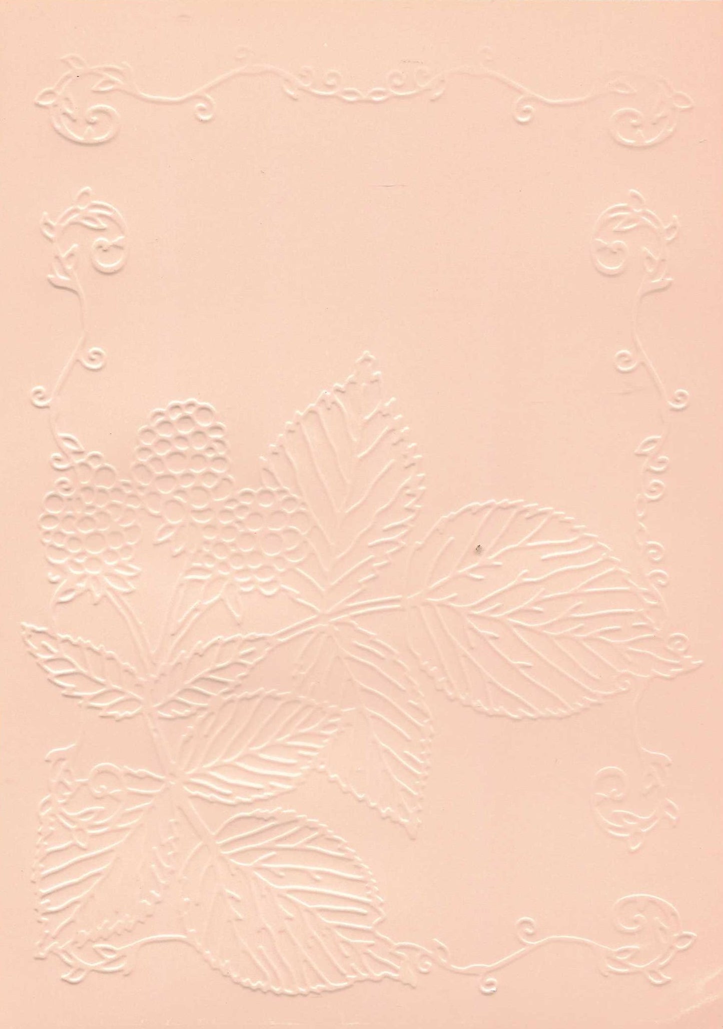 Embossed Card. 5"x7". Leaves. 10 Sheets In Assorted Colours