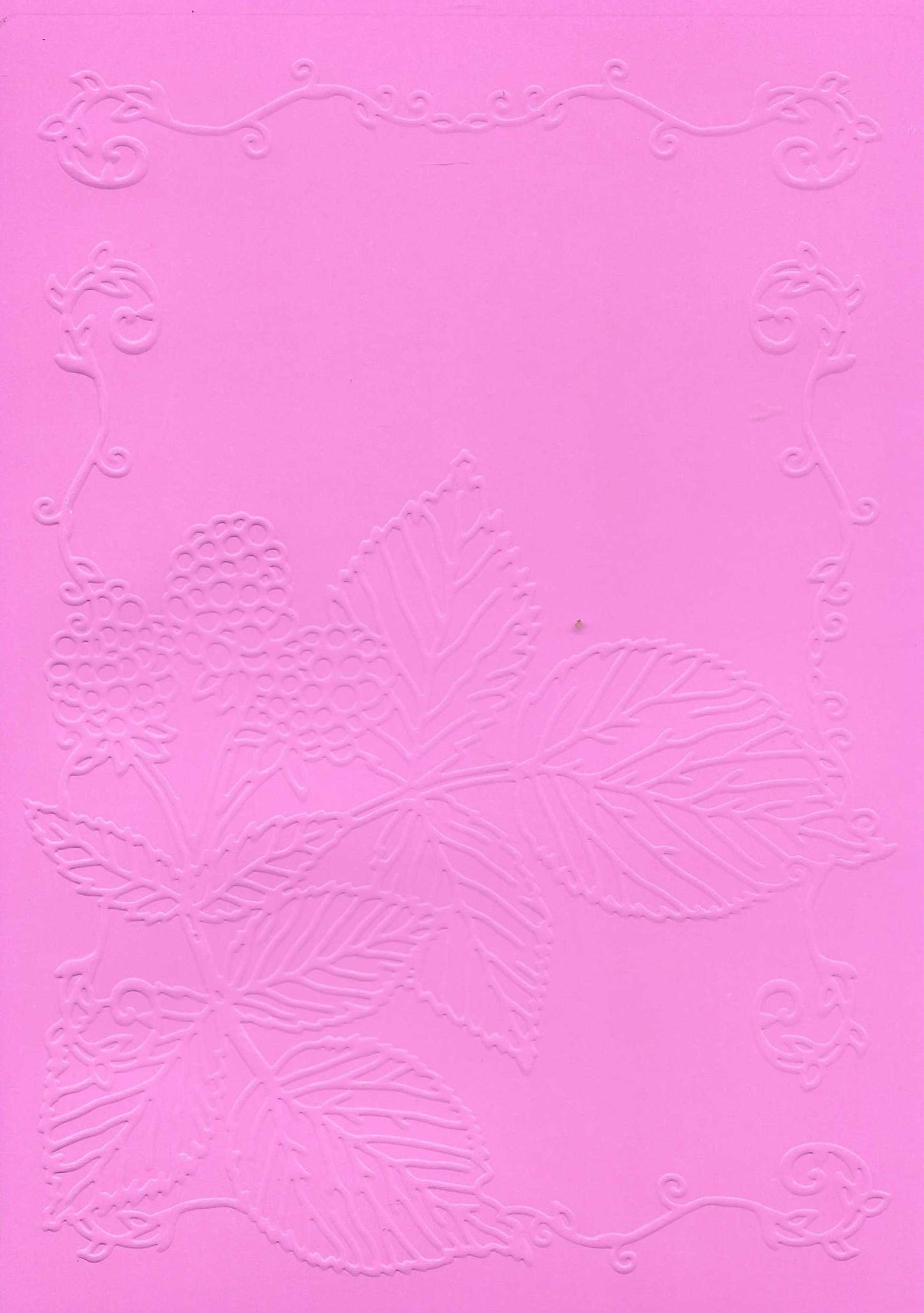 Embossed Card. 5"x7". Leaves. 10 Sheets In Assorted Colours