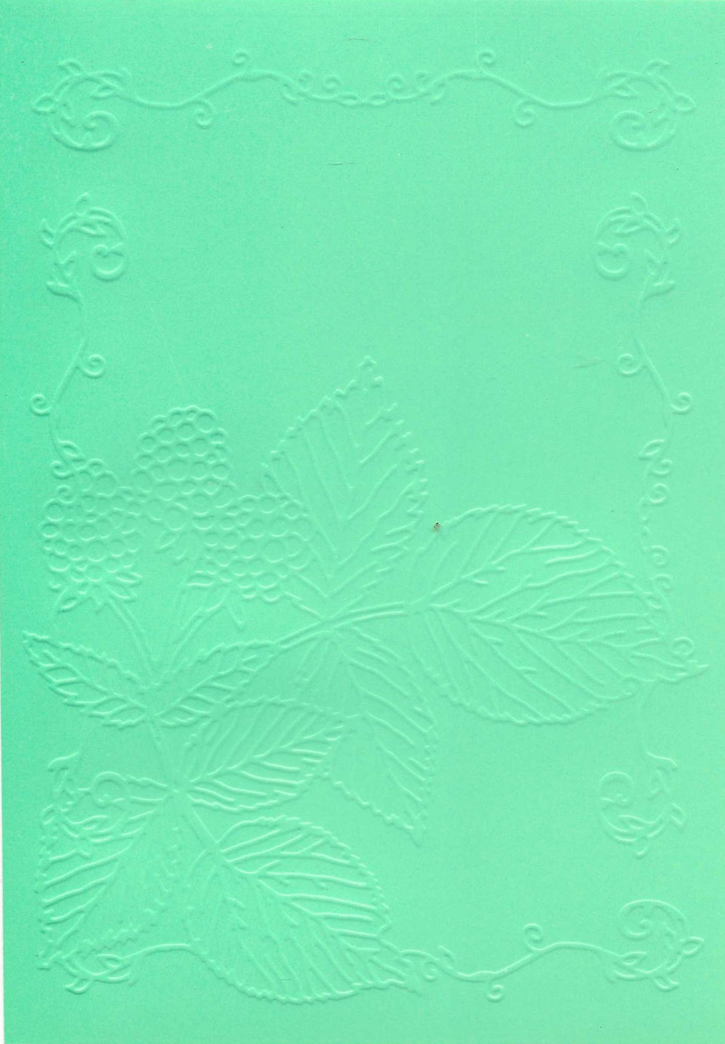 Embossed Card. 5"x7". Leaves. 10 Sheets In Assorted Colours