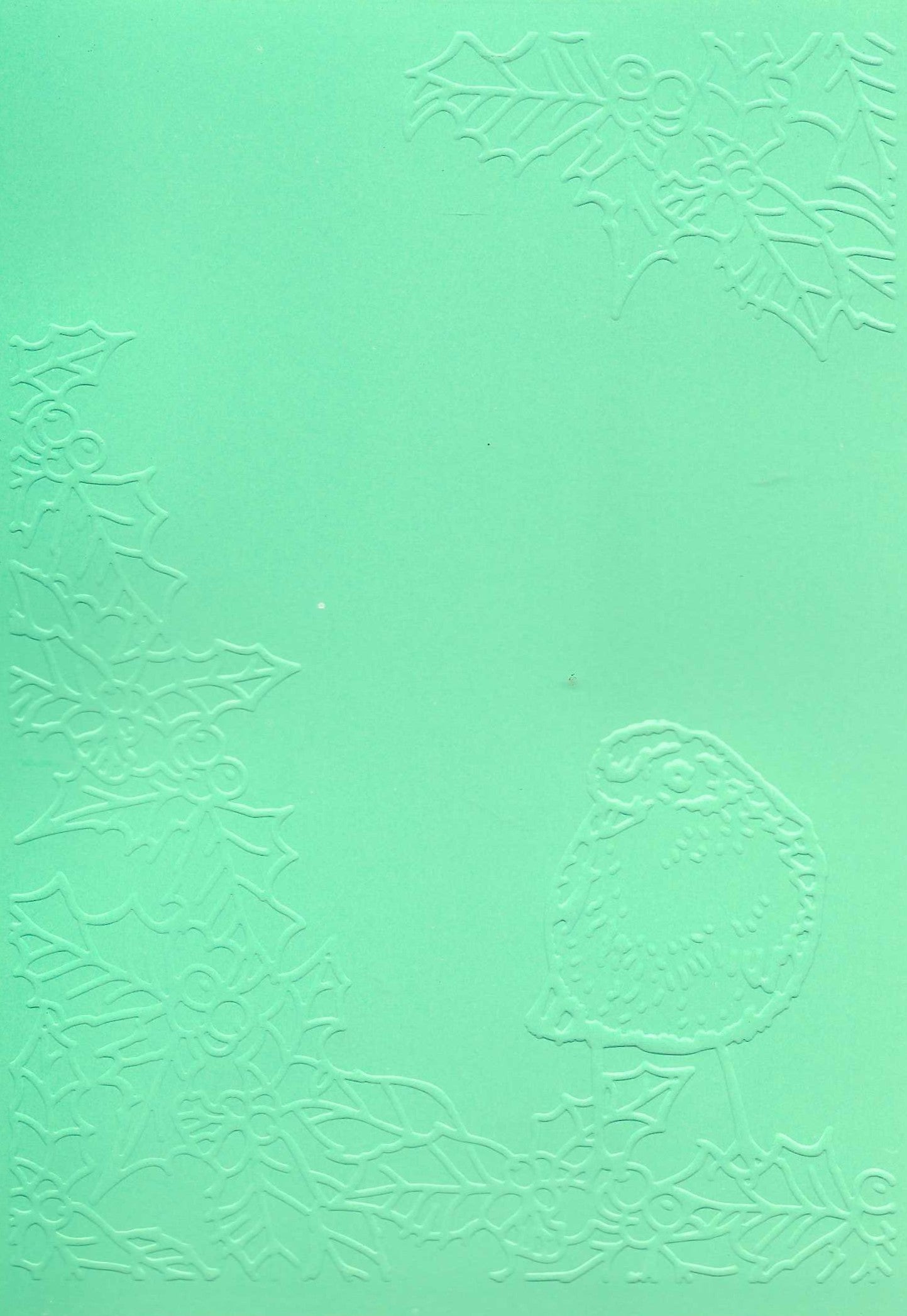Embossed Card. 5"x7". Robin. 10 Sheets In Assorted Colours