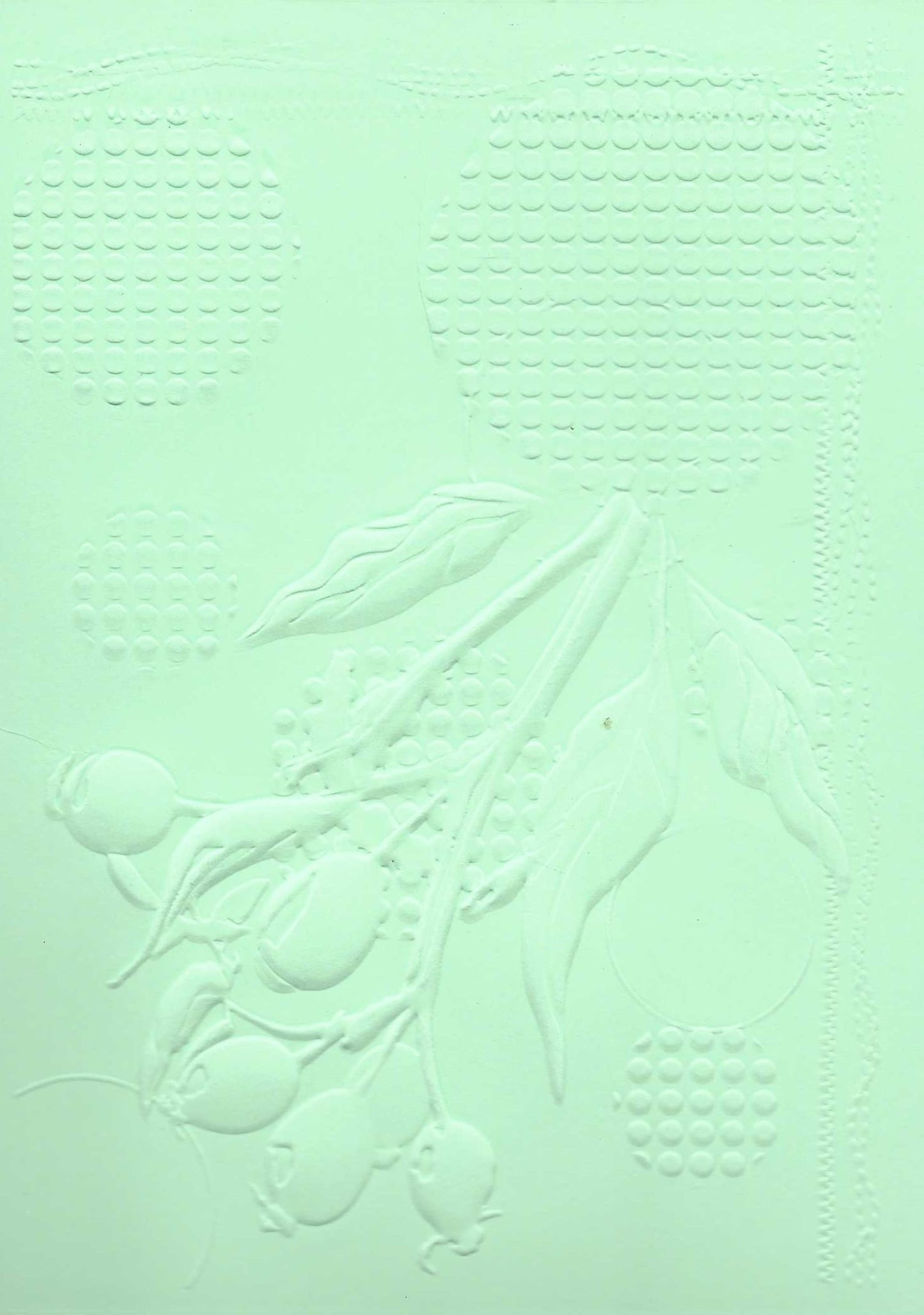 Embossed Card. 5"x7". Berries. 10 Sheets In Assorted Colours