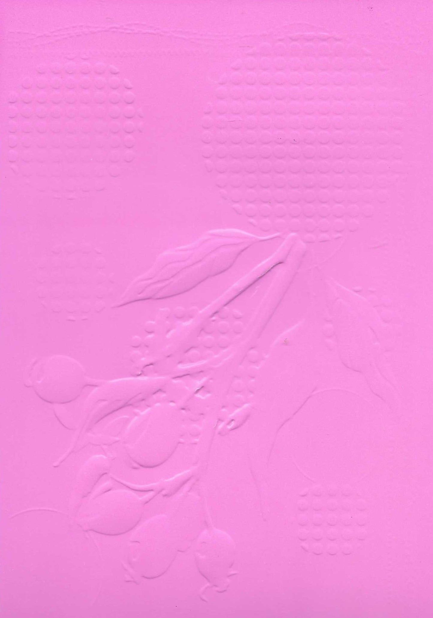 Embossed Card. 5"x7". Berries. 10 Sheets In Assorted Colours