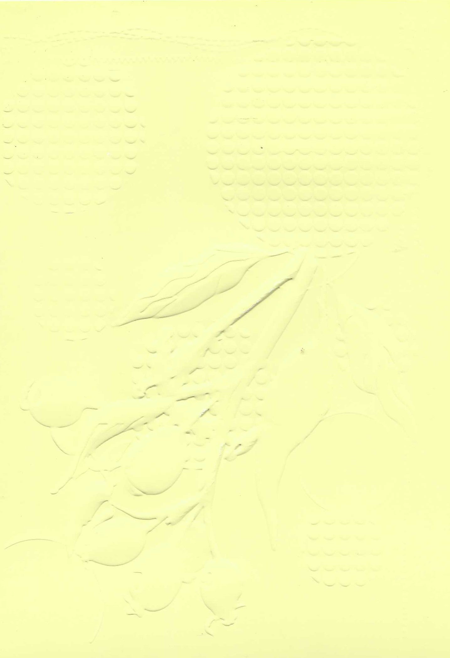Embossed Card. 5"x7". Berries. 10 Sheets In Assorted Colours