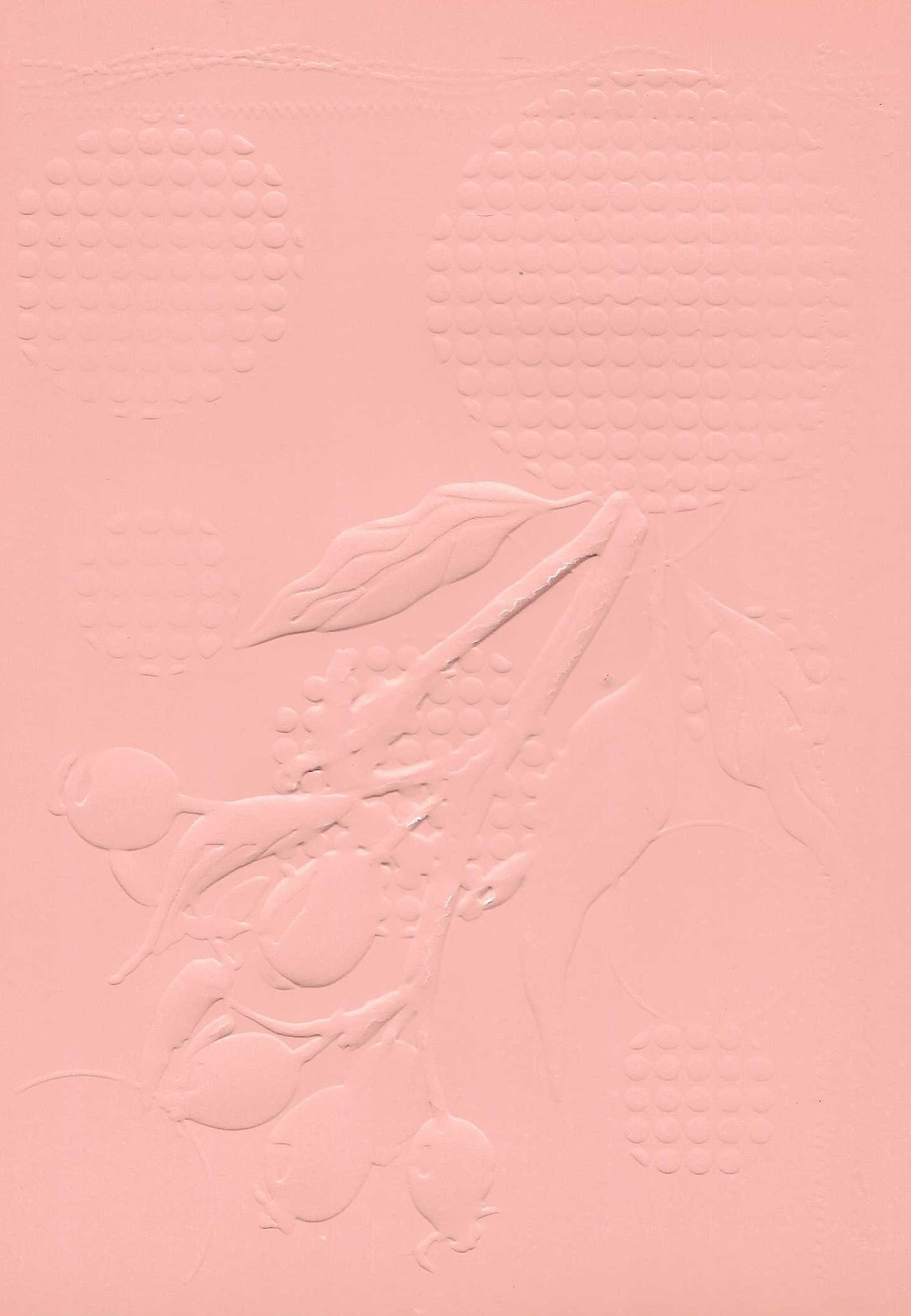 Embossed Card. 5"x7". Berries. 10 Sheets In Assorted Colours