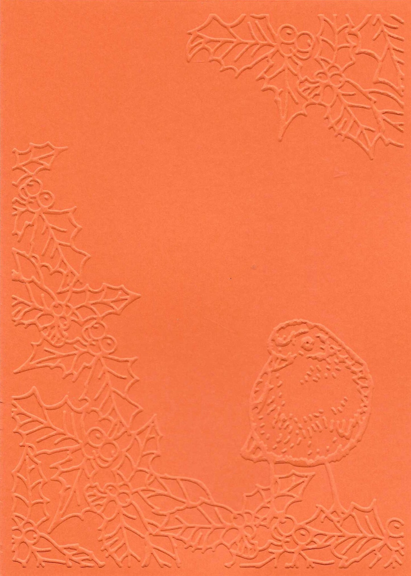 Embossed Card. 5"x7". Robin. 10 Sheets In Assorted Colours