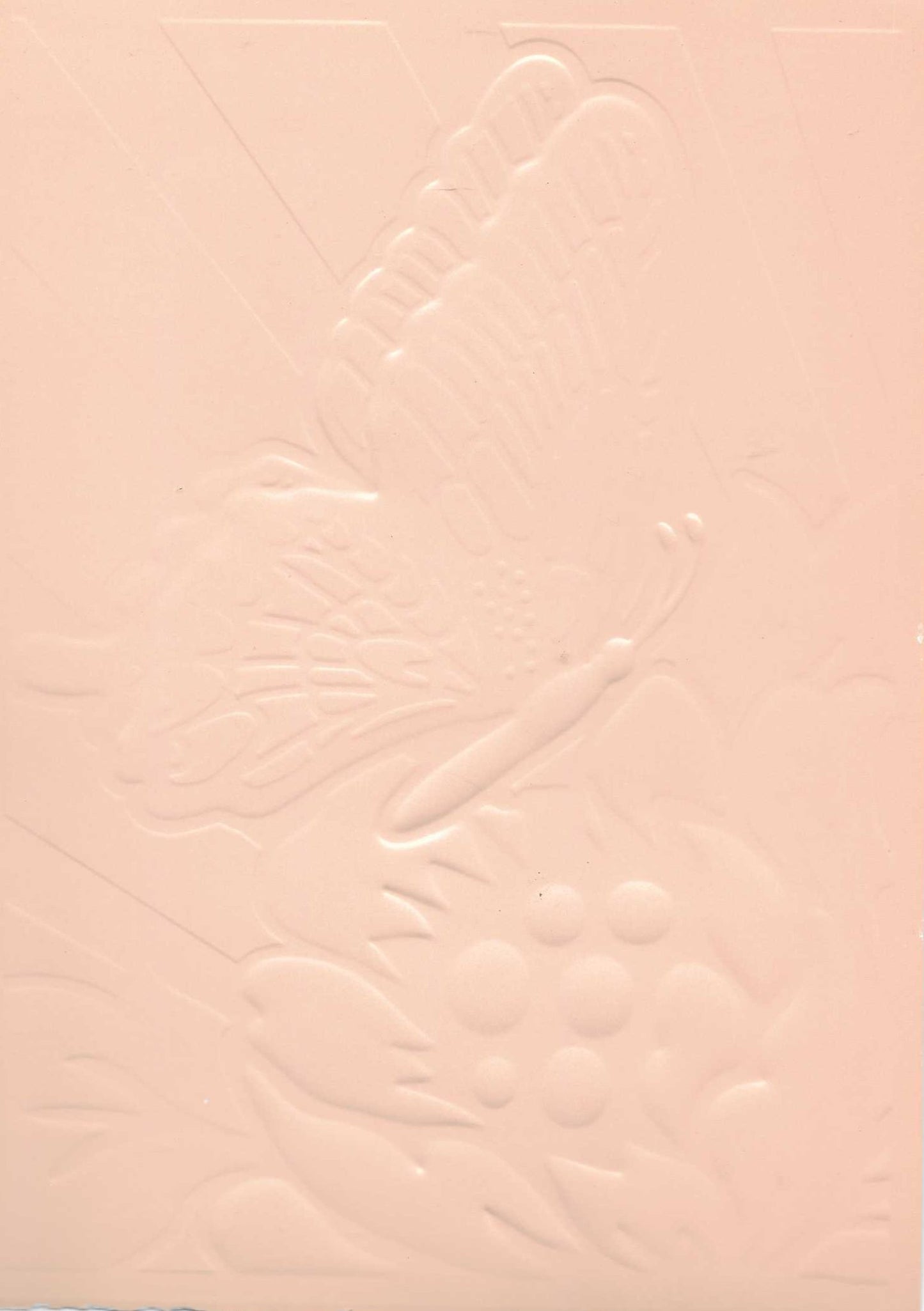 Embossed Card. 5"x7". Butterfly. 10 Sheets In Assorted Colours