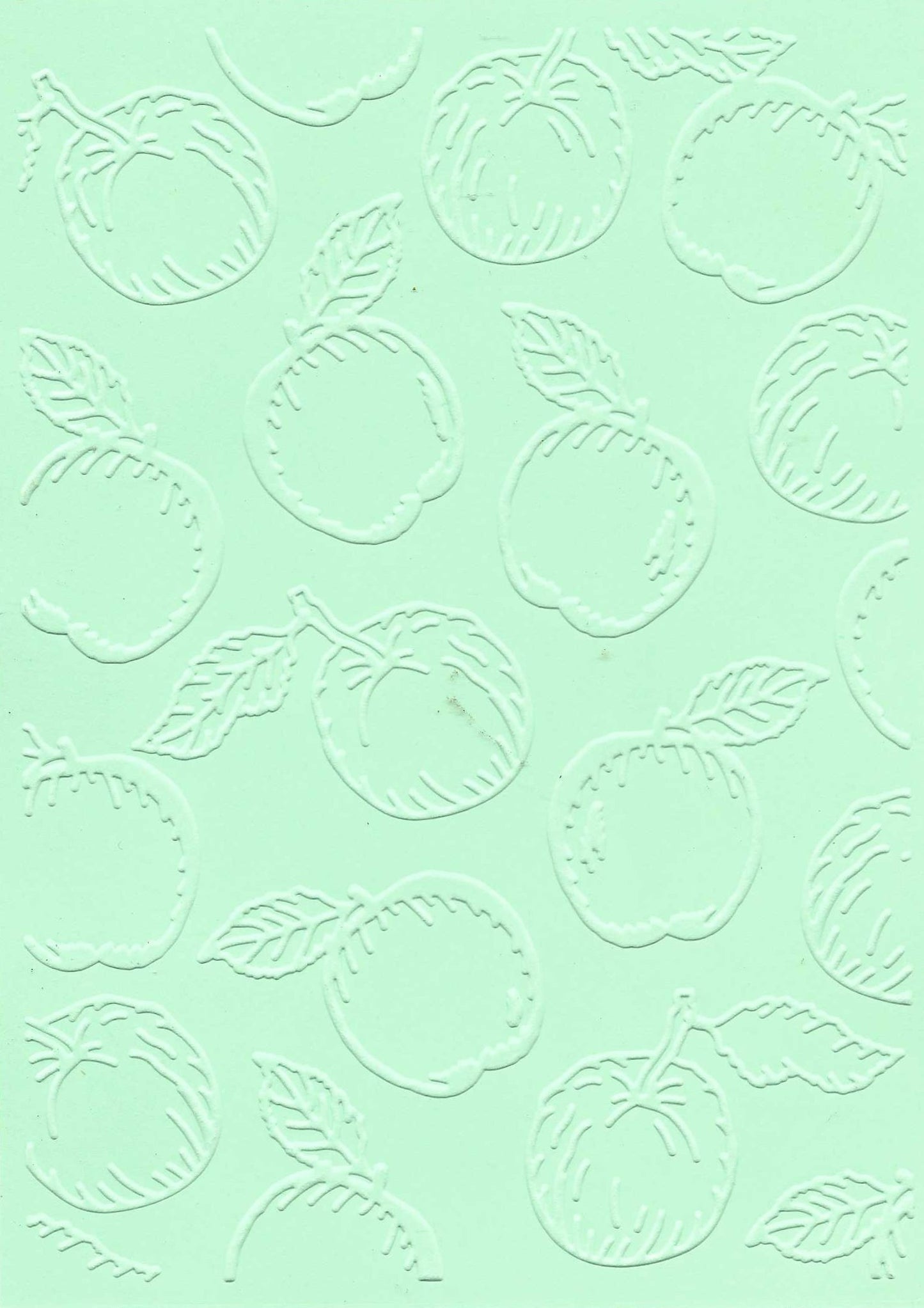 Embossed Card. 5"x7". Apples.