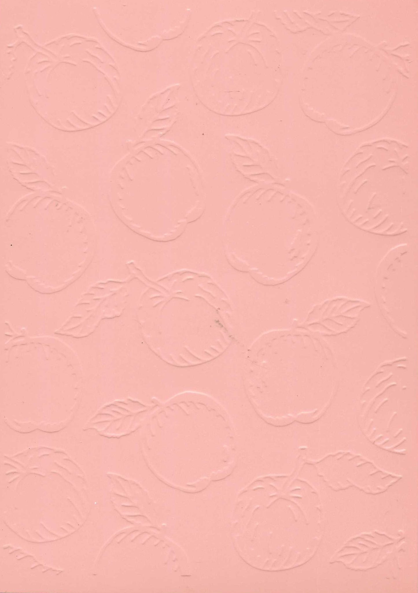 Embossed Card. 5"x7". Apples.
