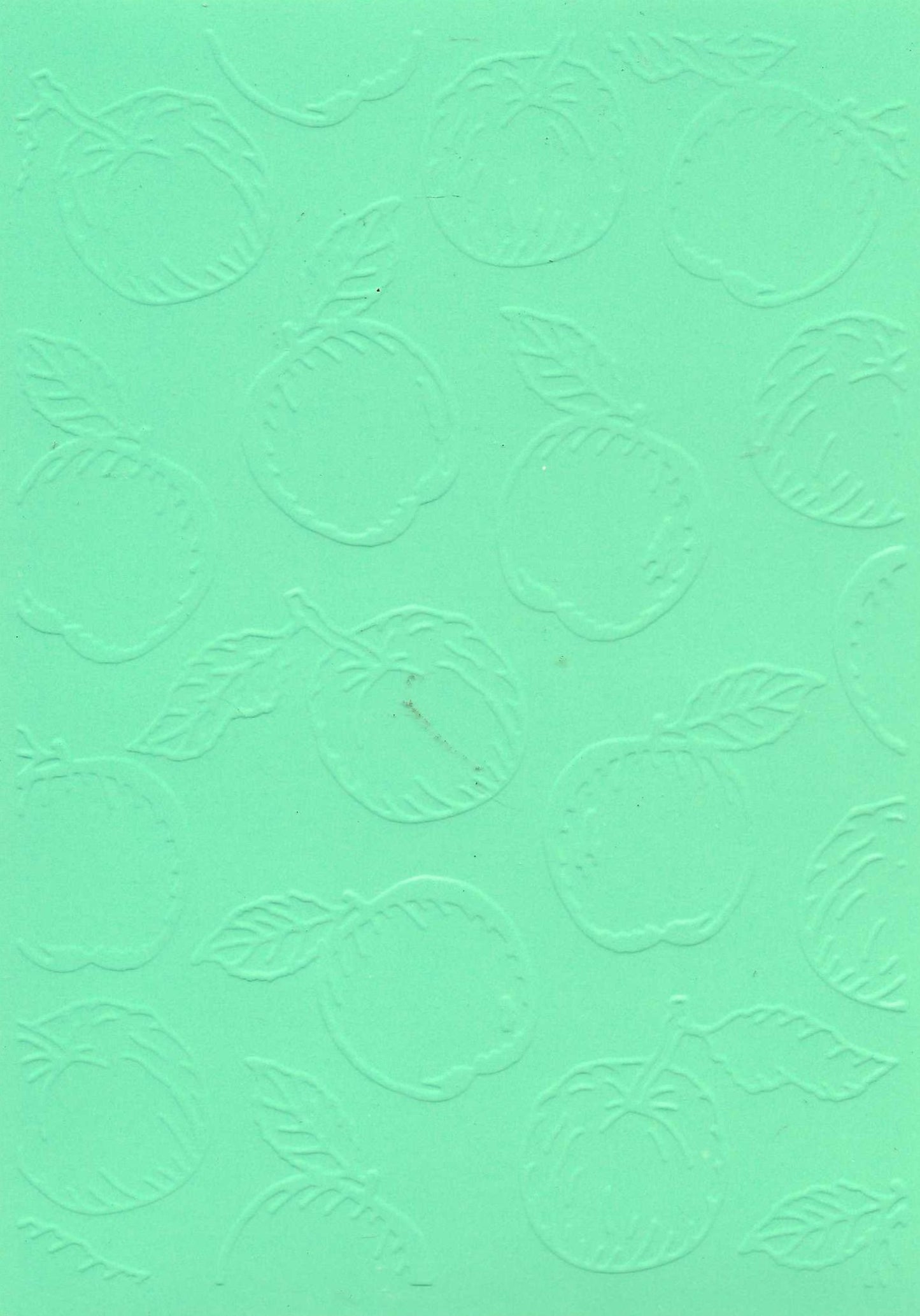 Embossed Card. 5"x7". Apples.