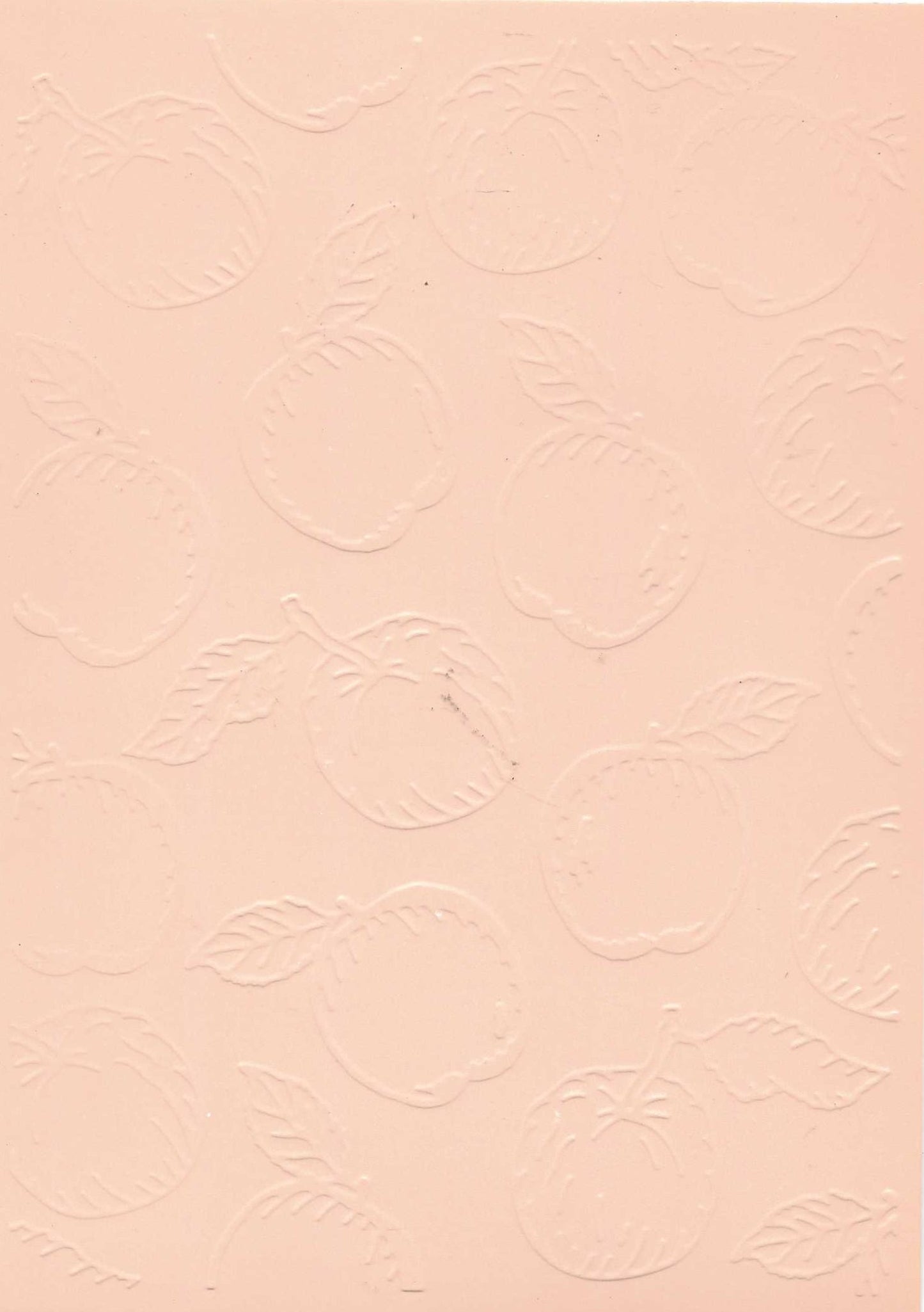Embossed Card. 5"x7". Apples.