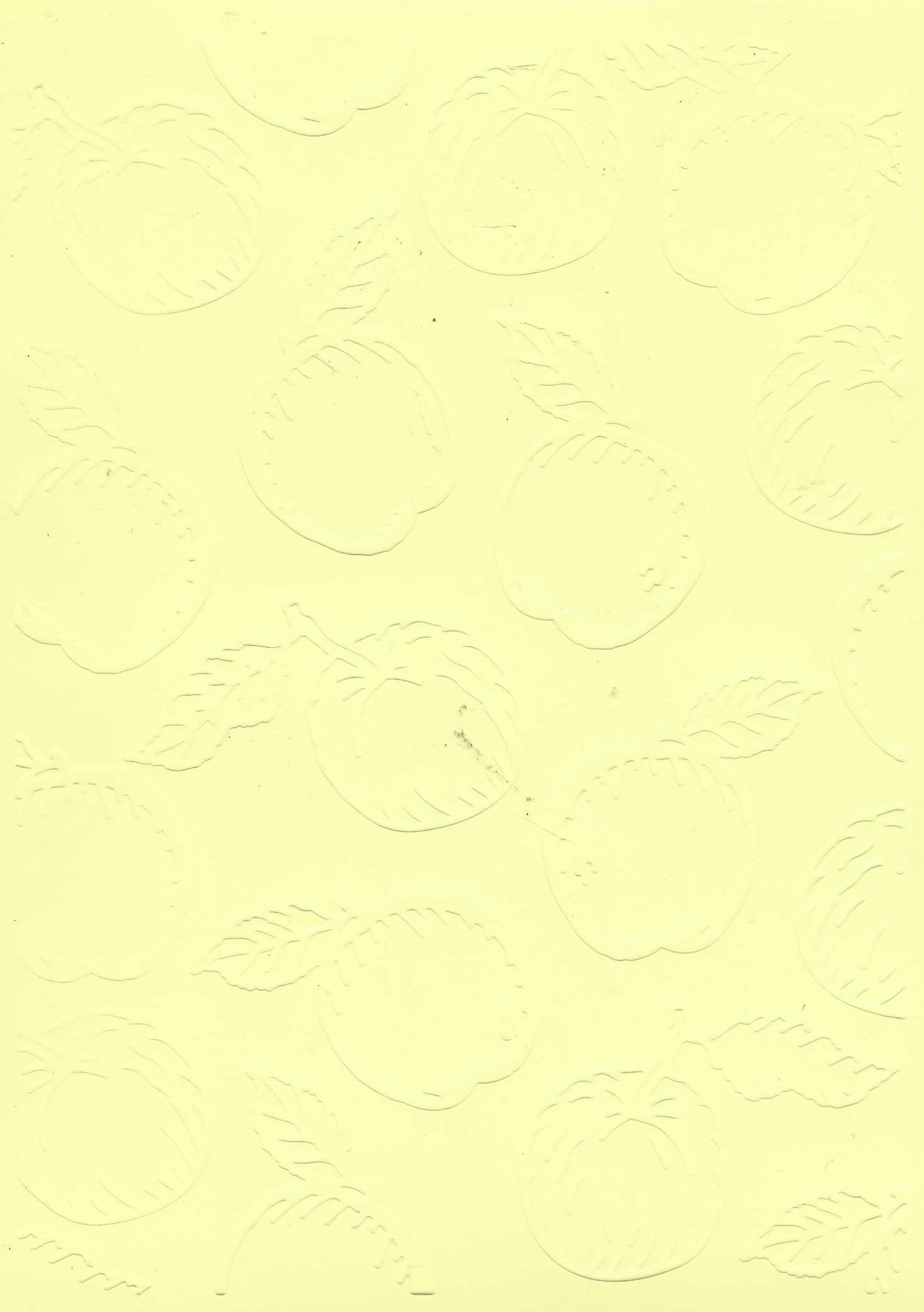 Embossed Card. 5"x7". Apples.