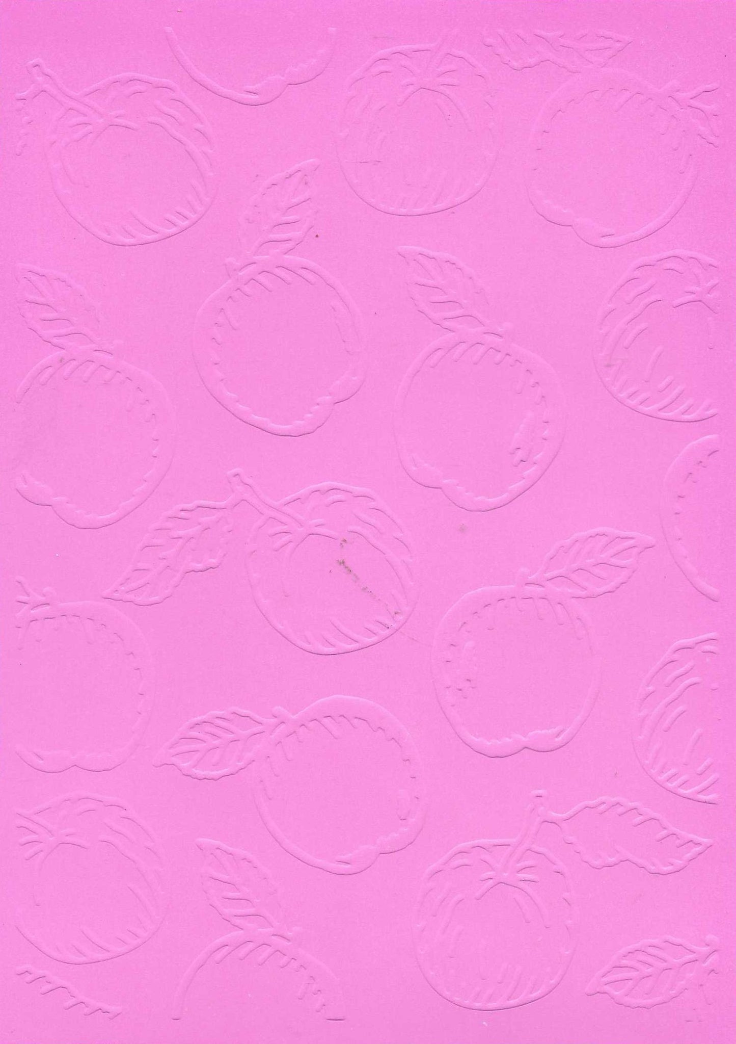 Embossed Card. 5"x7". Apples.