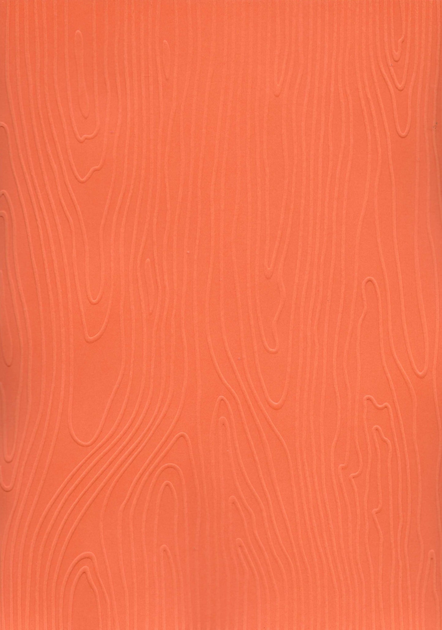 Embossed Card. A4. Woodgrain. 10 Sheets. Assorted Colours.