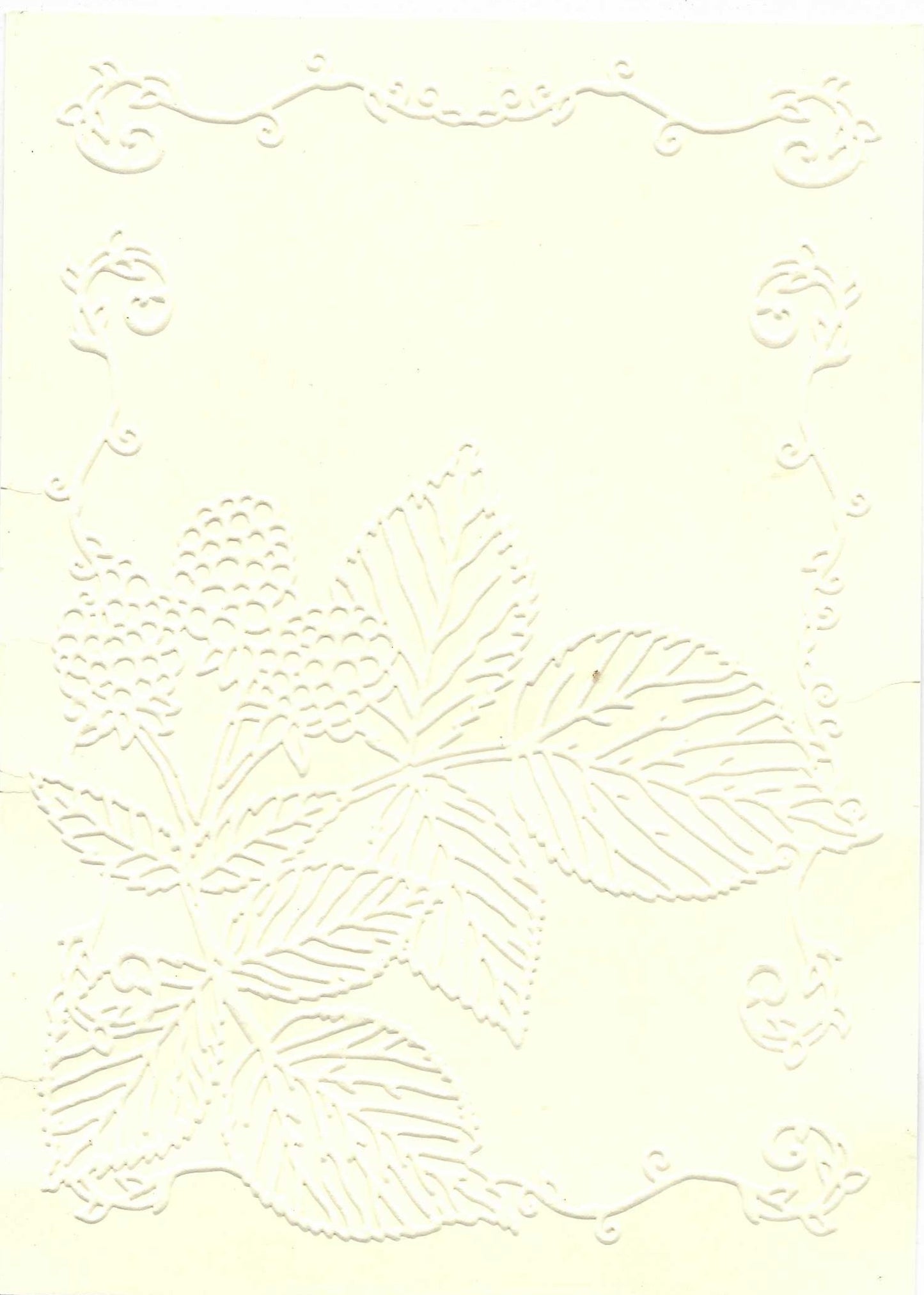 Embossed Card. 5"x7". Leaves. 10 Sheets In Assorted Colours