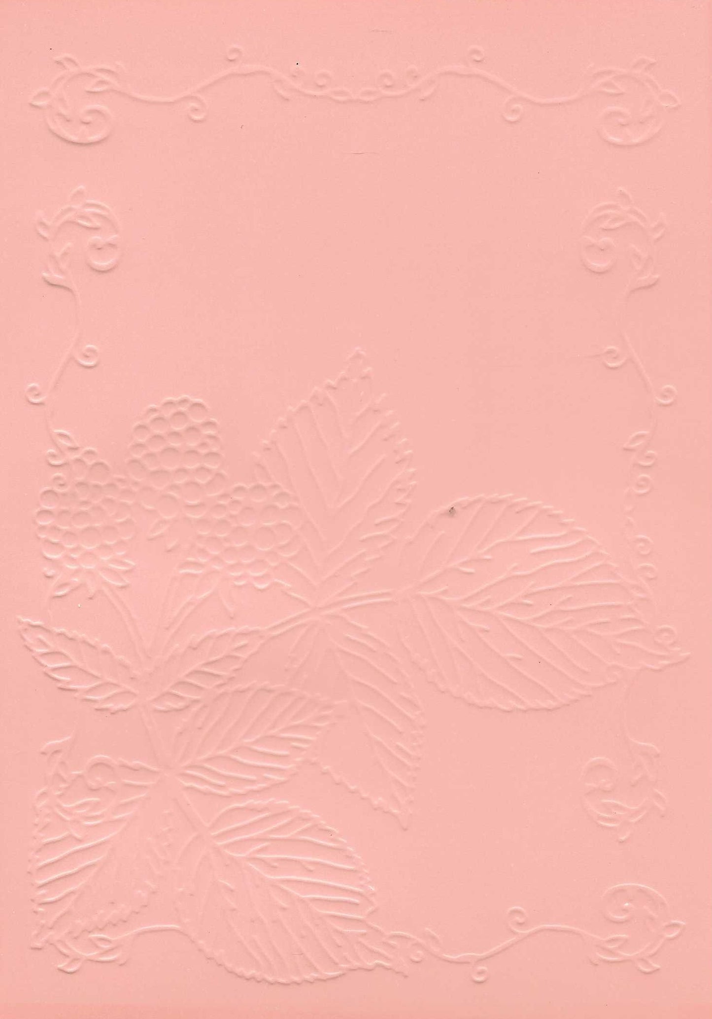 Embossed Card. 5"x7". Leaves. 10 Sheets In Assorted Colours