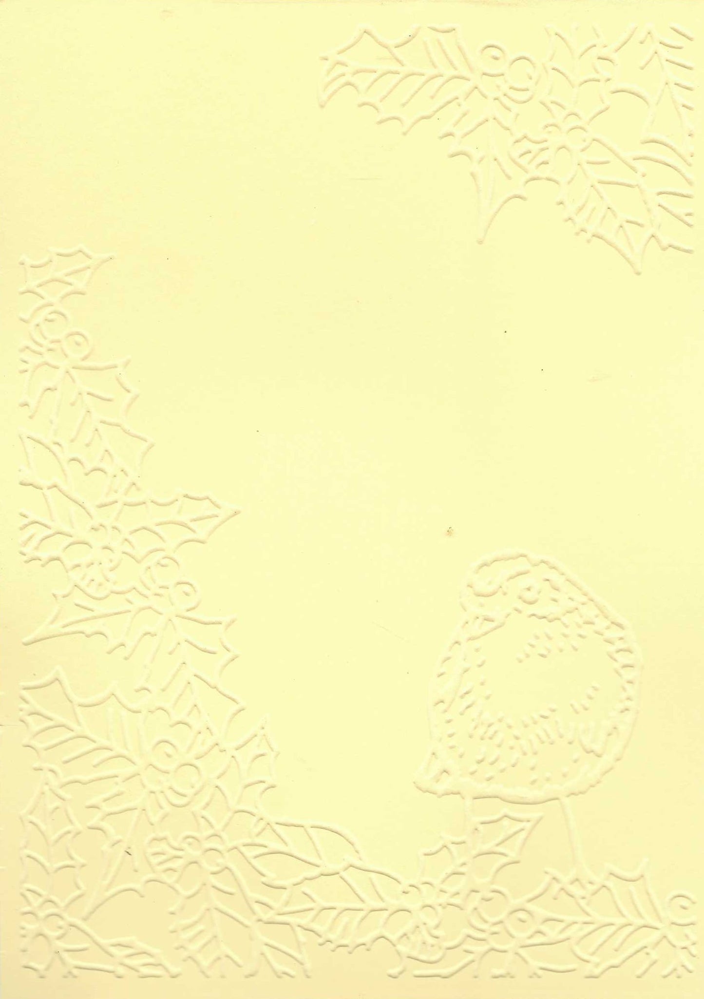 Embossed Card. 5"x7". Robin. 10 Sheets In Assorted Colours