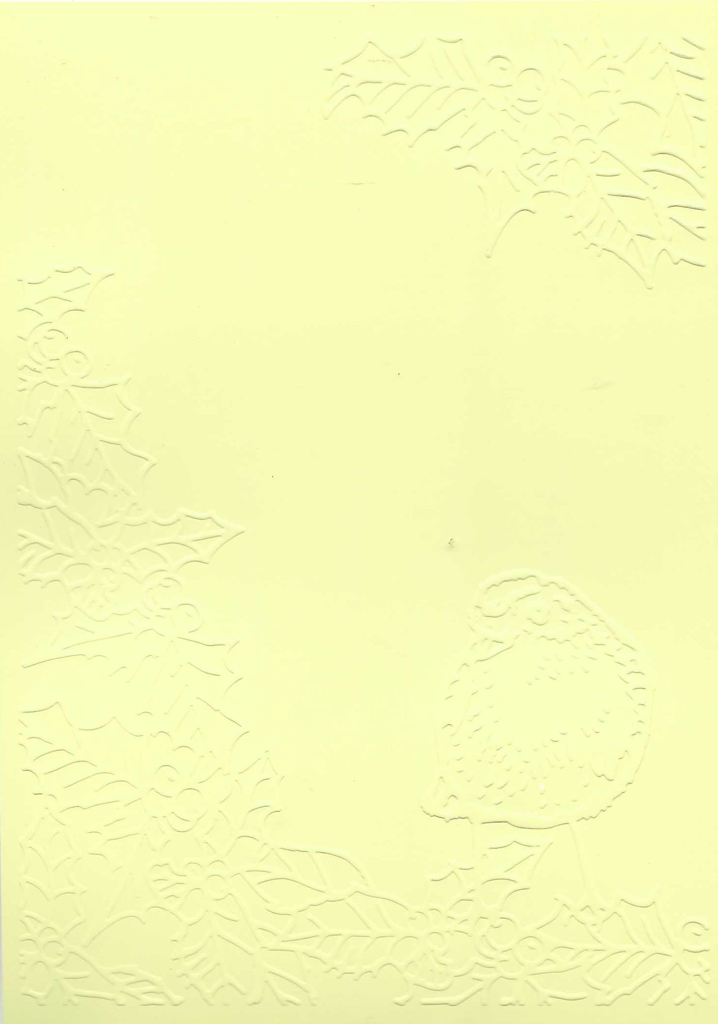 Embossed Card. 5"x7". Robin. 10 Sheets In Assorted Colours
