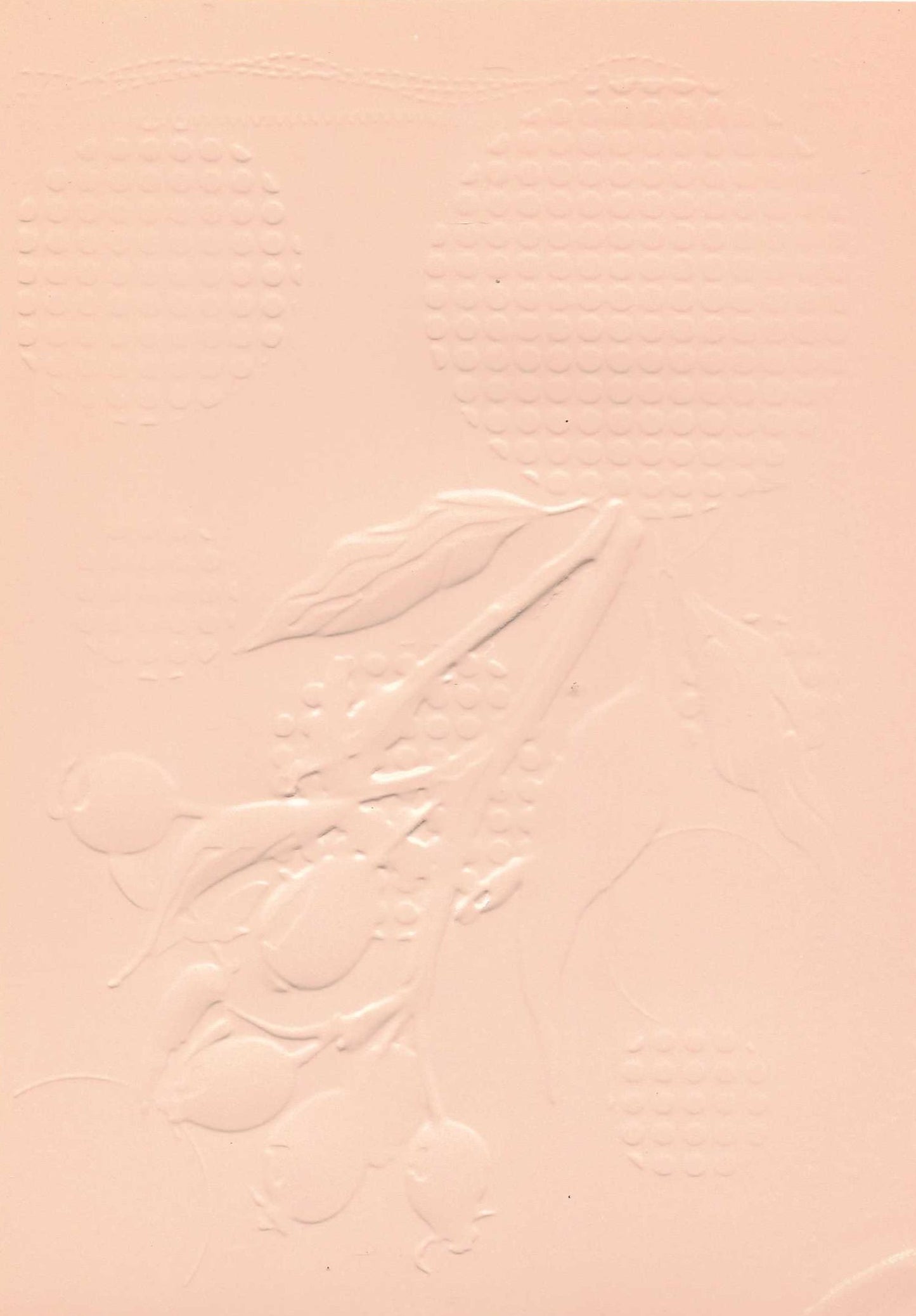 Embossed Card. 5"x7". Berries. 10 Sheets In Assorted Colours