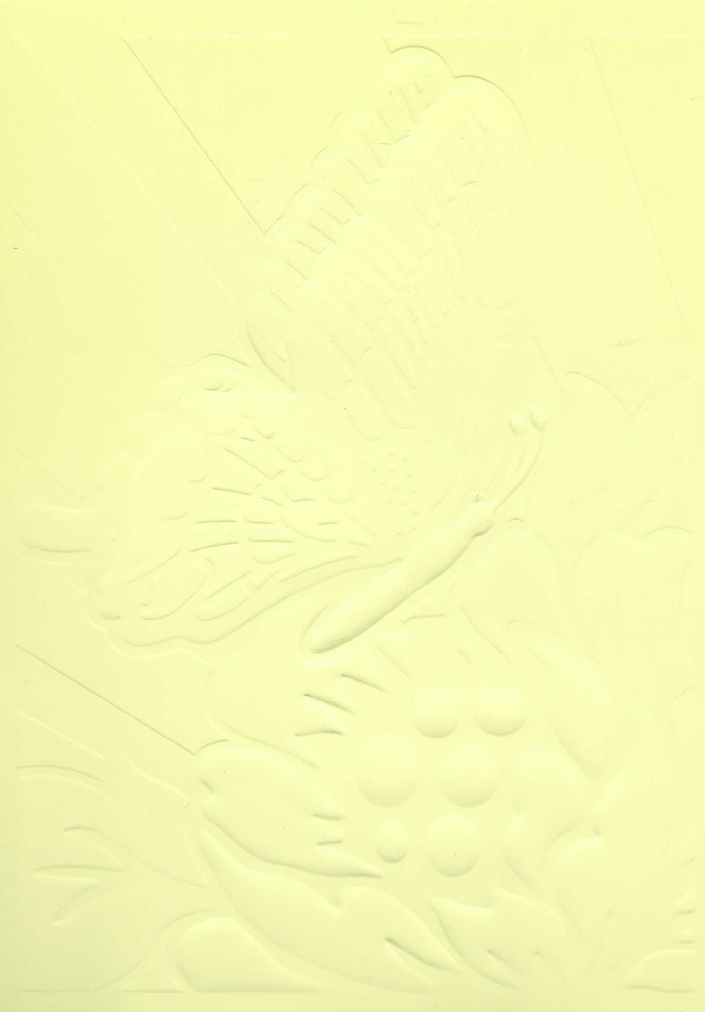 Embossed Card. 5"x7". Butterfly. 10 Sheets In Assorted Colours