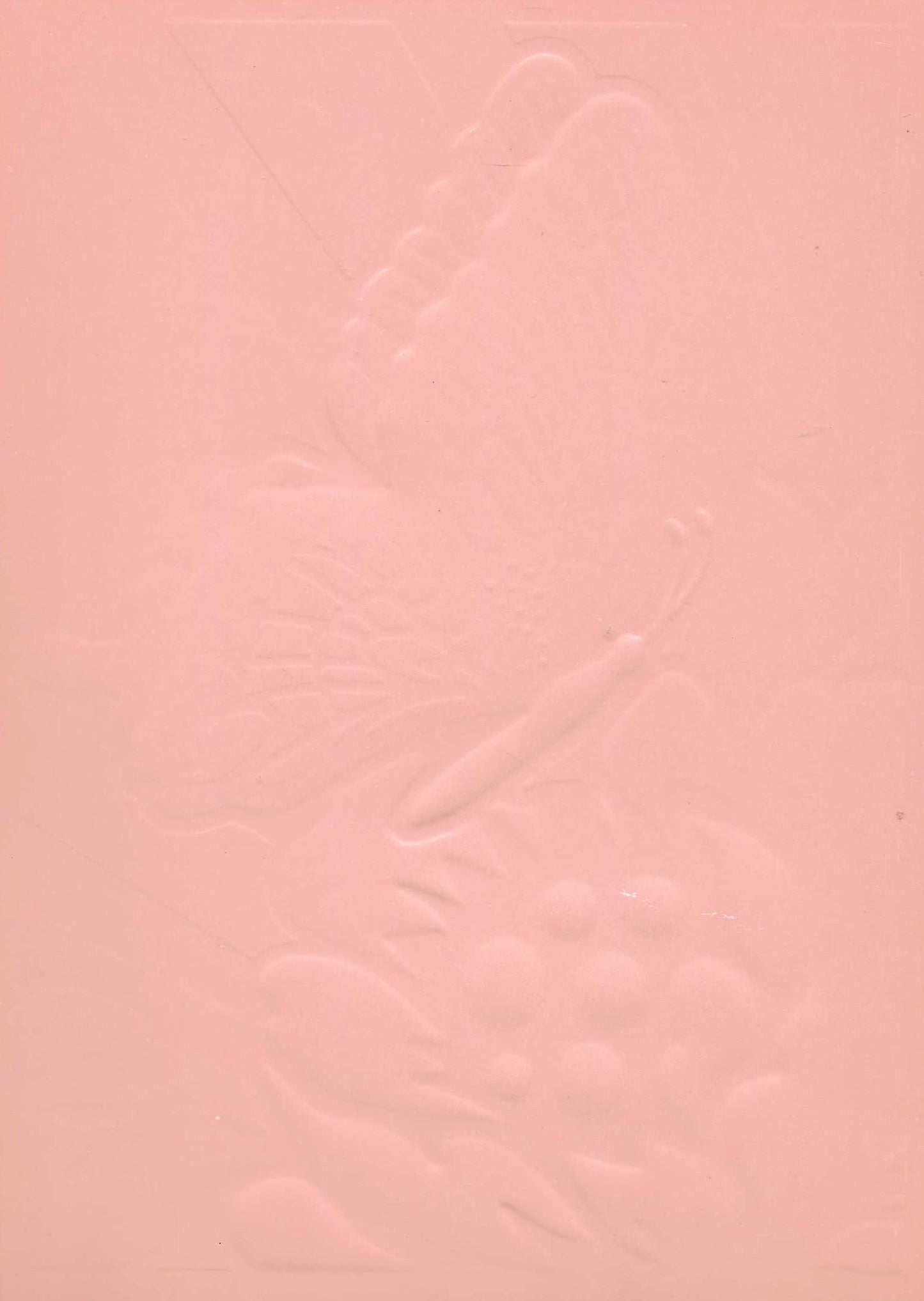 Embossed Card. 5"x7". Butterfly. 10 Sheets In Assorted Colours