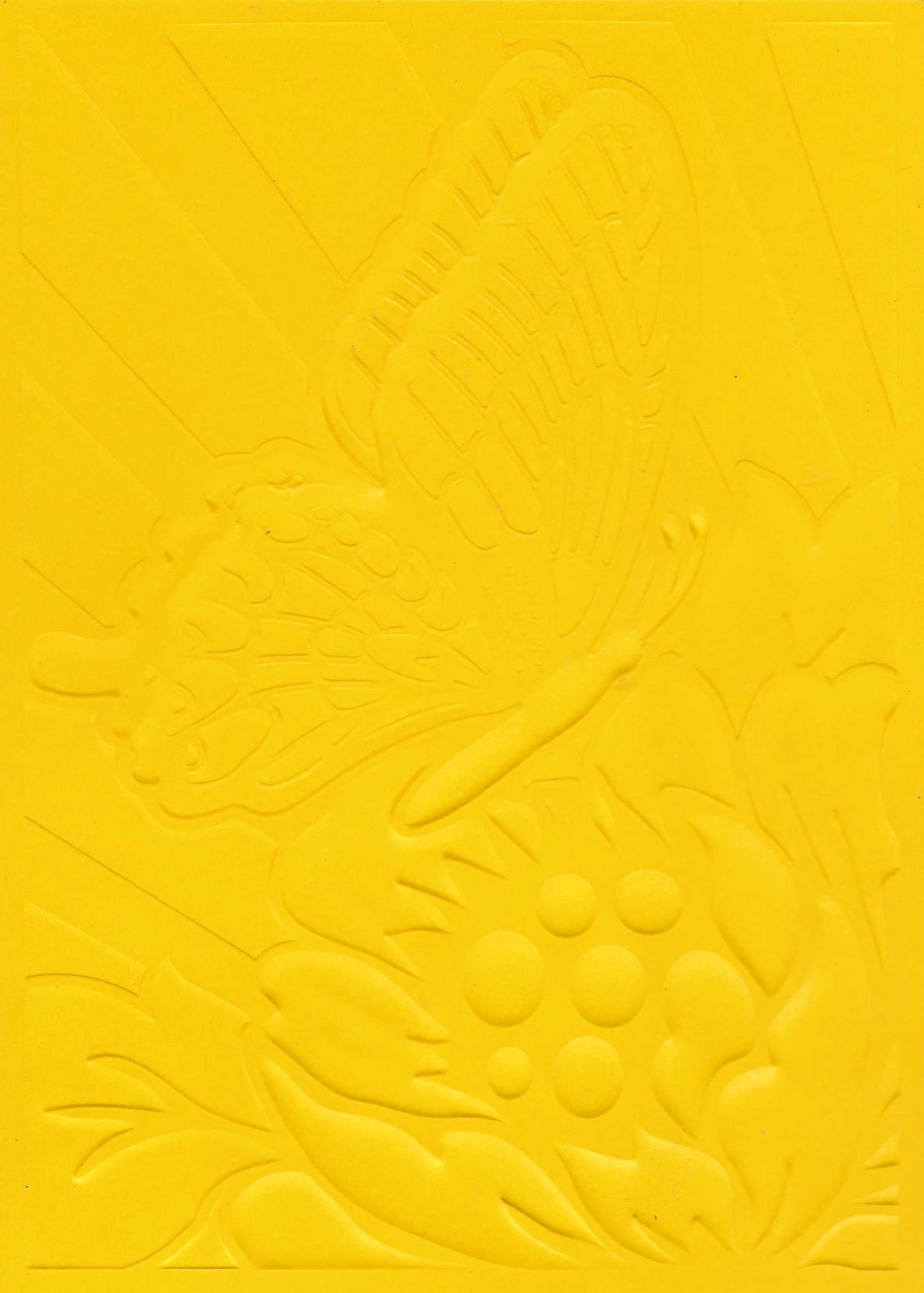 Embossed Card. 5"x7". Butterfly. 10 Sheets In Assorted Colours