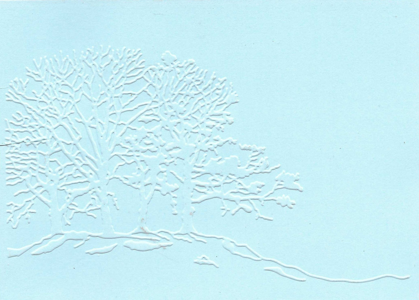 Embossed Card. 5"x7". Trees. 10 Sheets In Assorted Colours