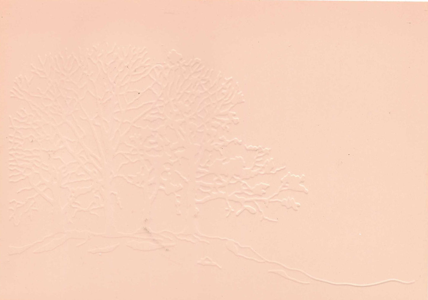 Embossed Card. 5"x7". Trees. 10 Sheets In Assorted Colours