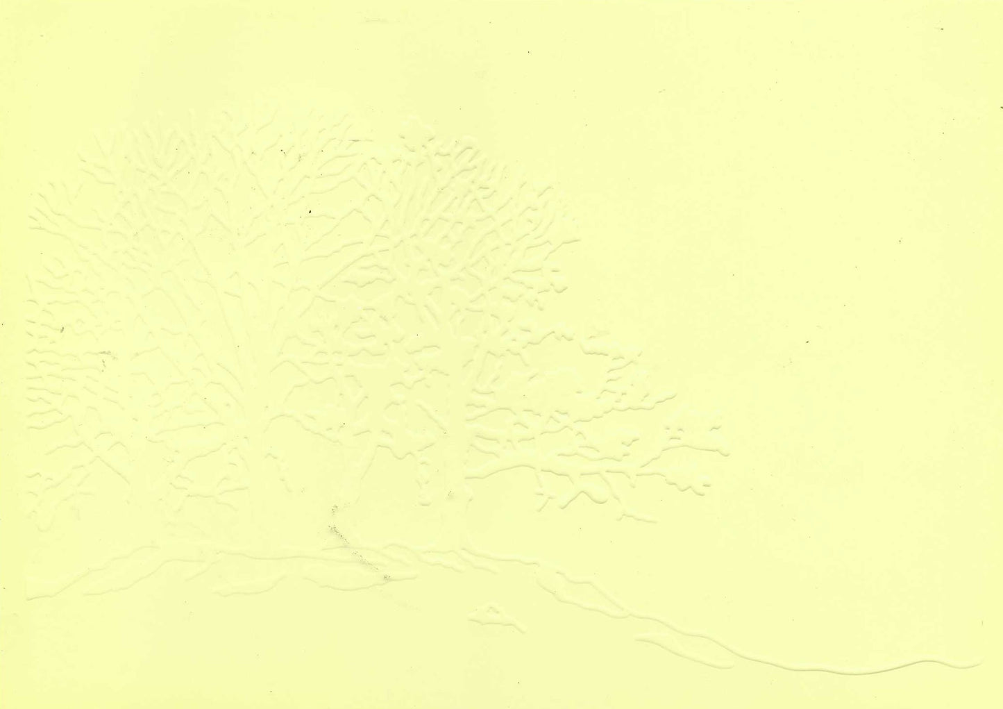Embossed Card. 5"x7". Trees. 10 Sheets In Assorted Colours