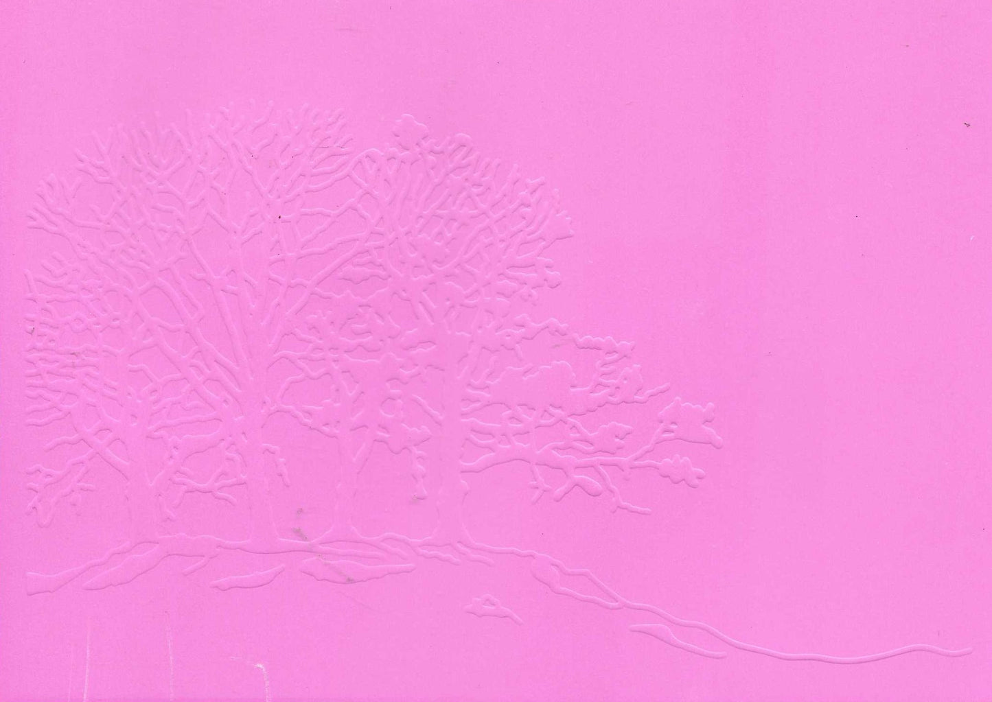 Embossed Card. 5"x7". Trees. 10 Sheets In Assorted Colours