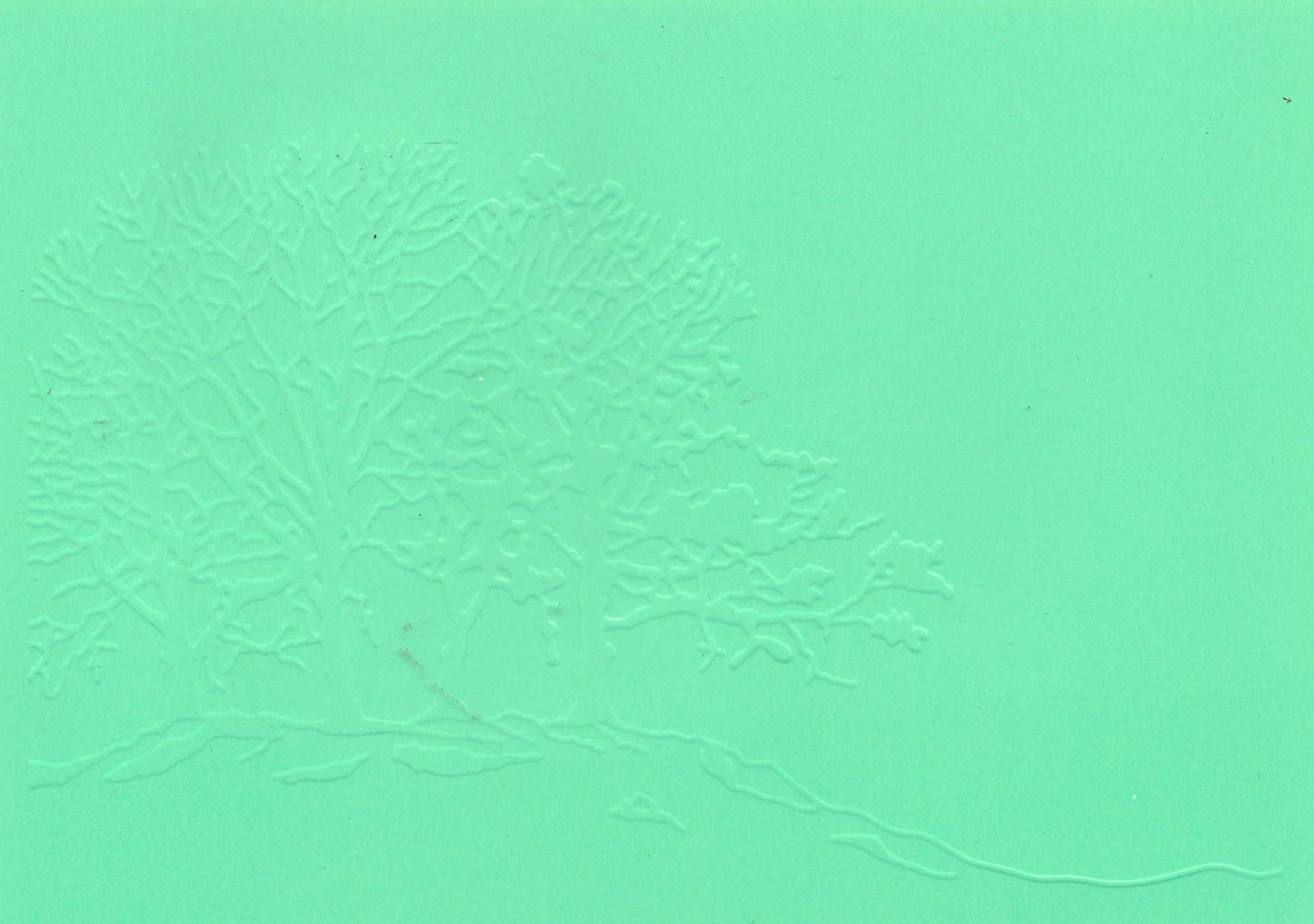 Embossed Card. 5"x7". Trees. 10 Sheets In Assorted Colours