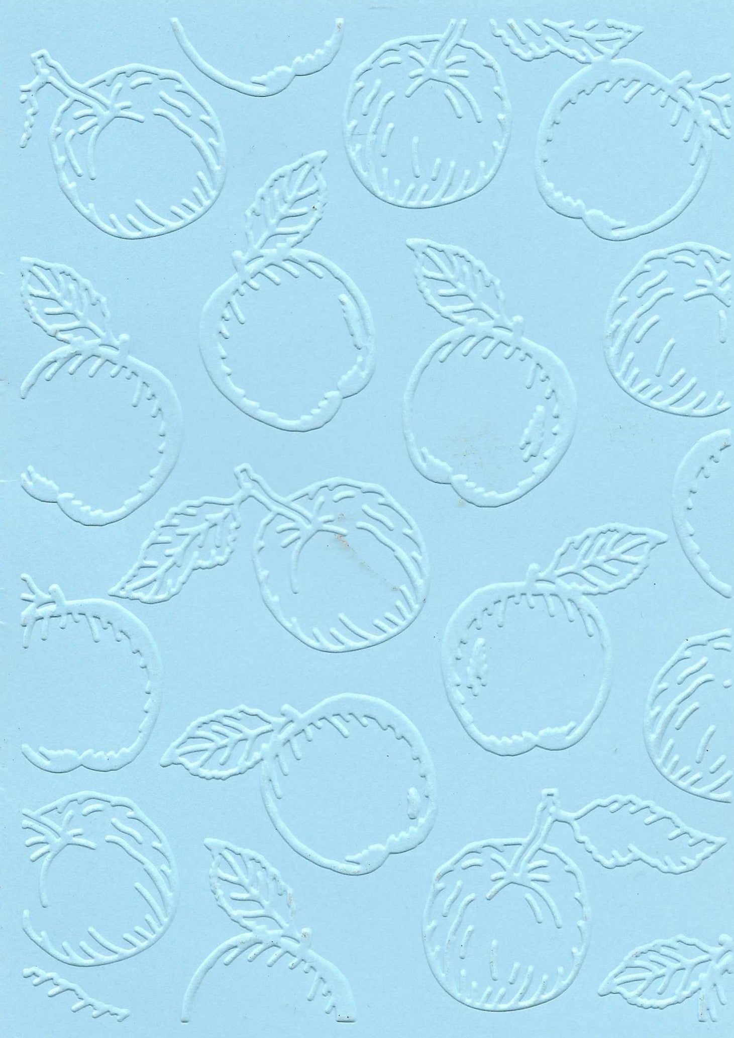 Embossed Card. 5"x7". Apples.