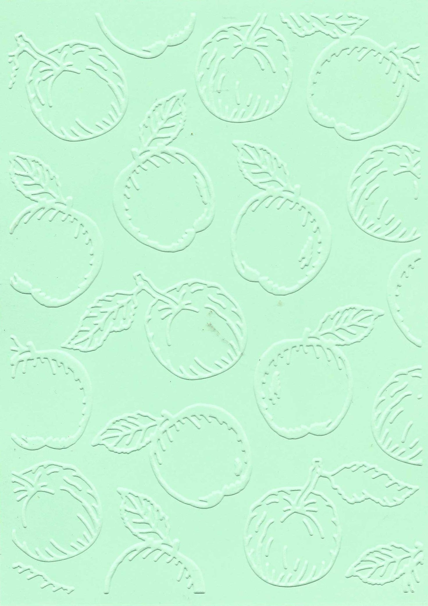 Embossed Card. 5"x7". Apples.