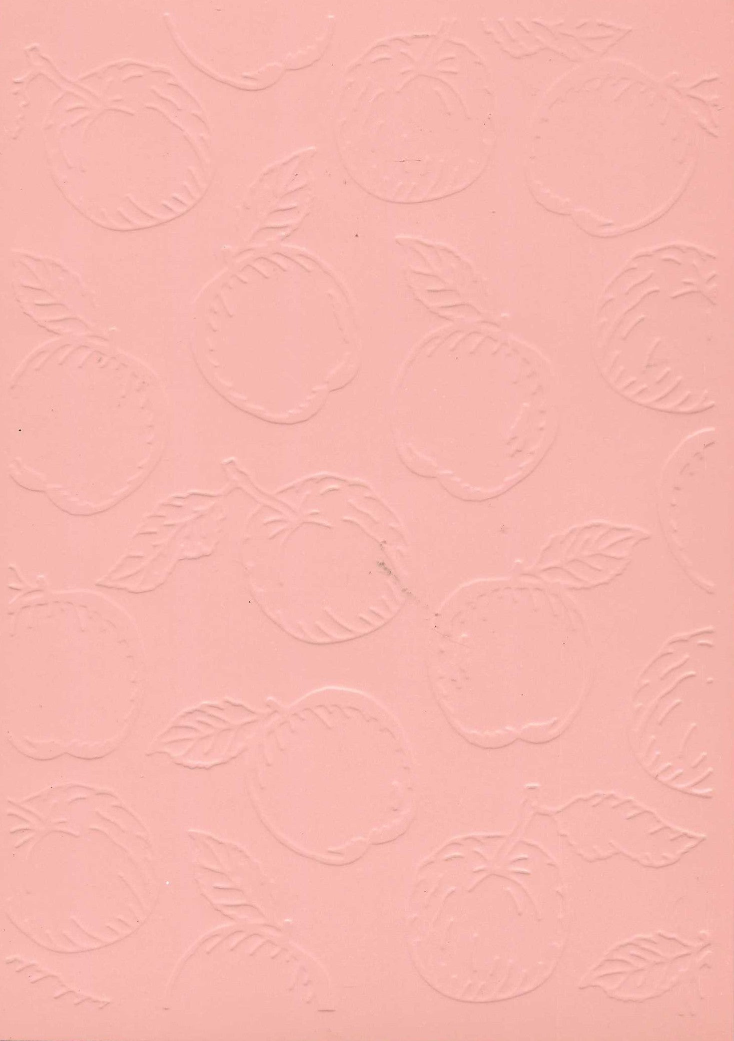 Embossed Card. 5"x7". Apples.