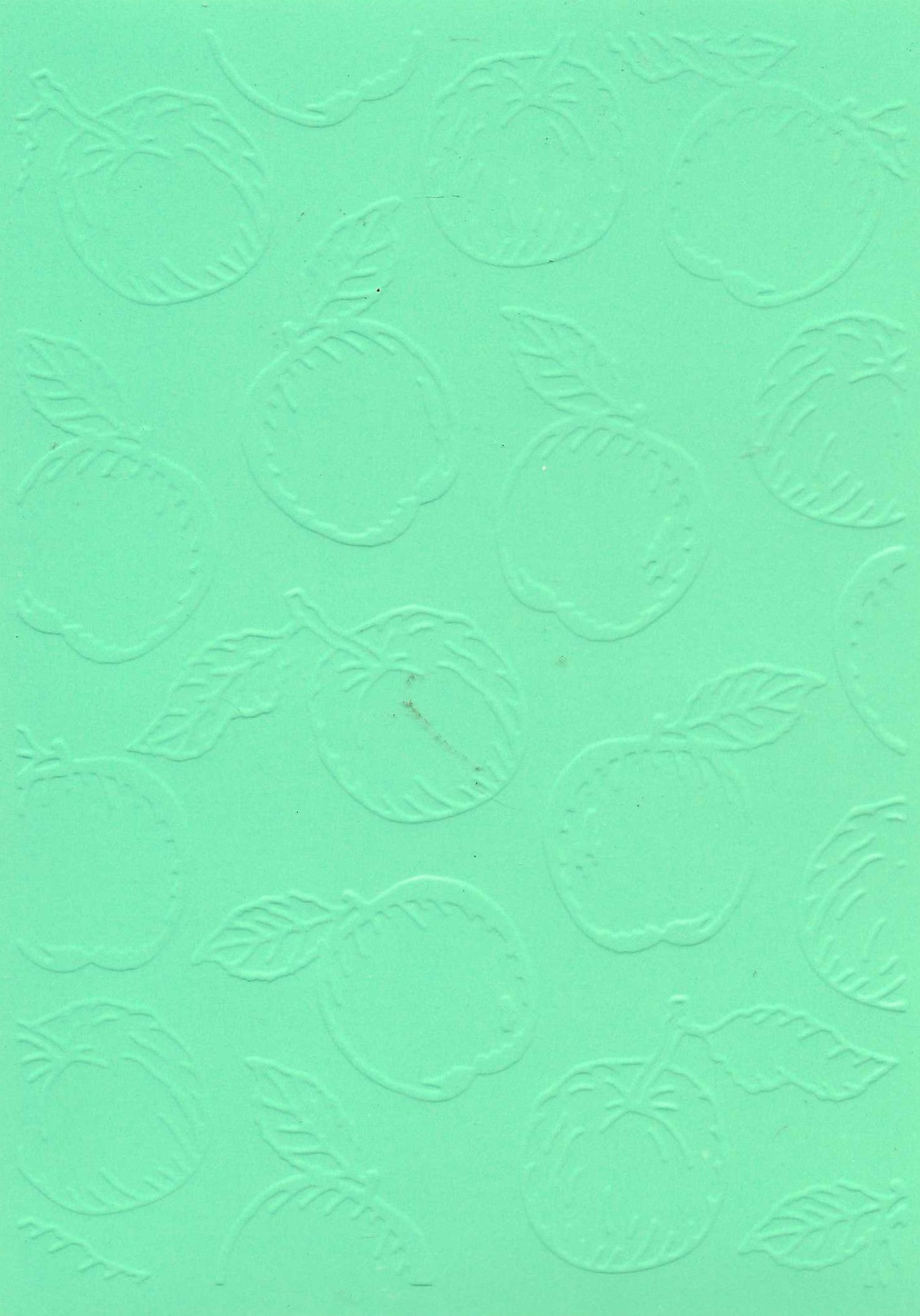 Embossed Card. 5"x7". Apples.