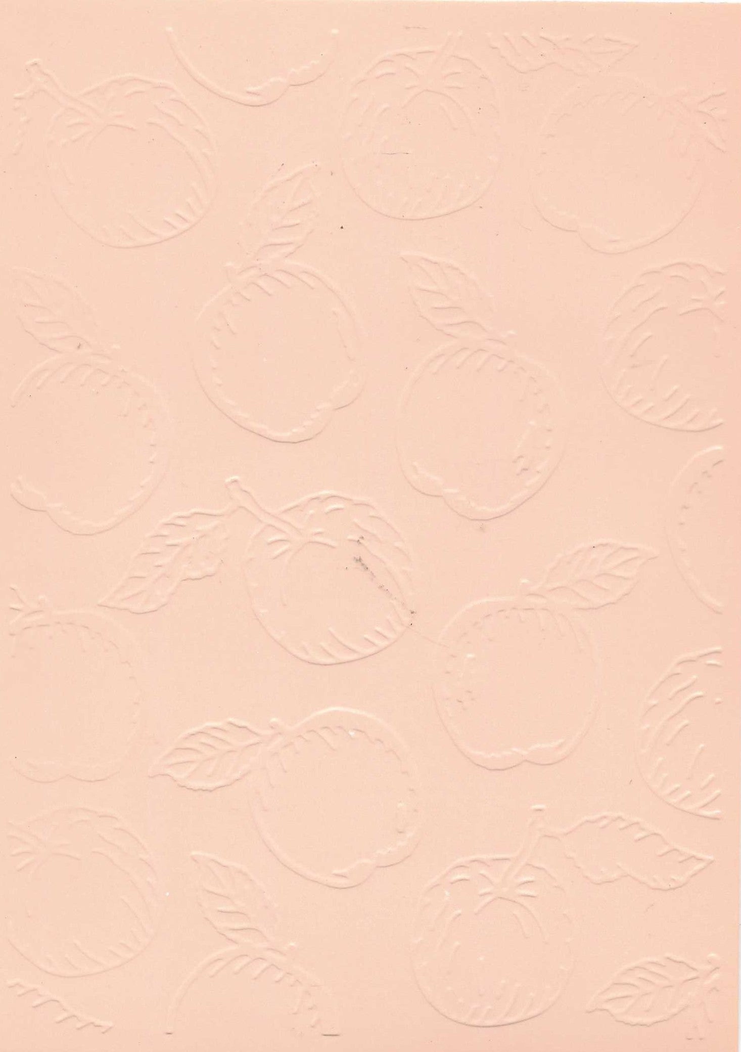 Embossed Card. 5"x7". Apples.