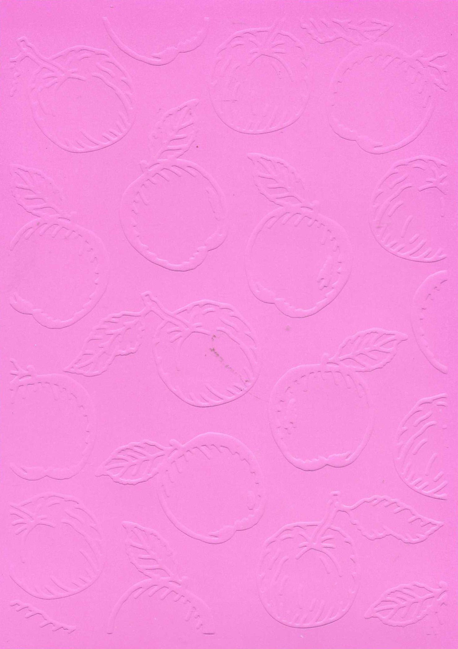 Embossed Card. 5"x7". Apples.